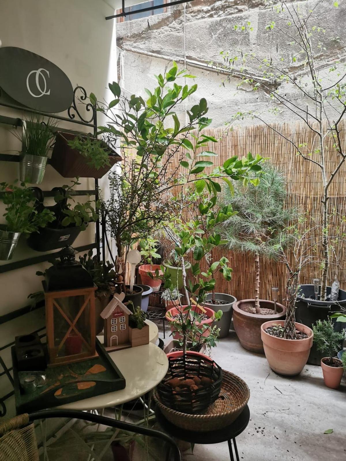 La Maison D'Aromarie 투르뉘 외부 사진